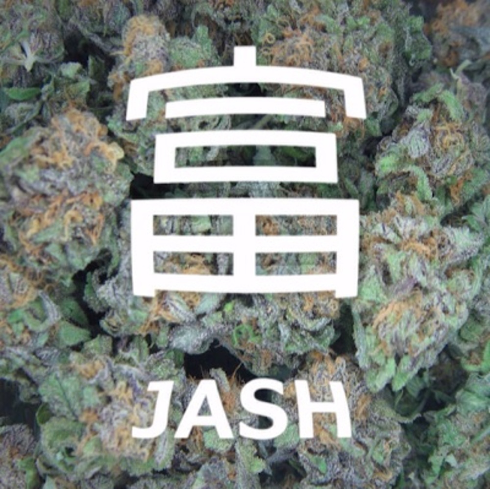 Meet your Posher, Jash